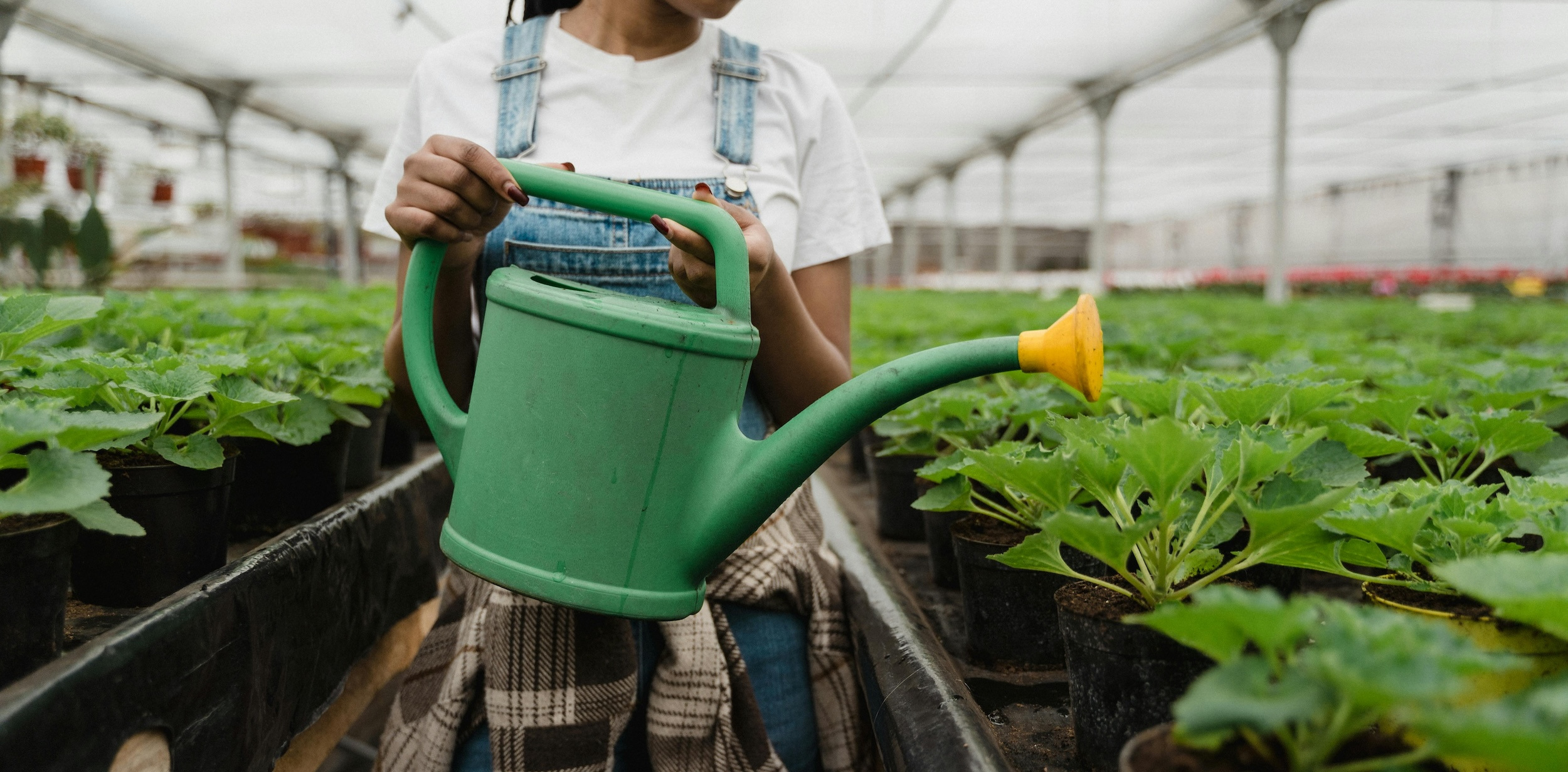 A woman in a greenhouse holds a large, green watering can to water potted plants.